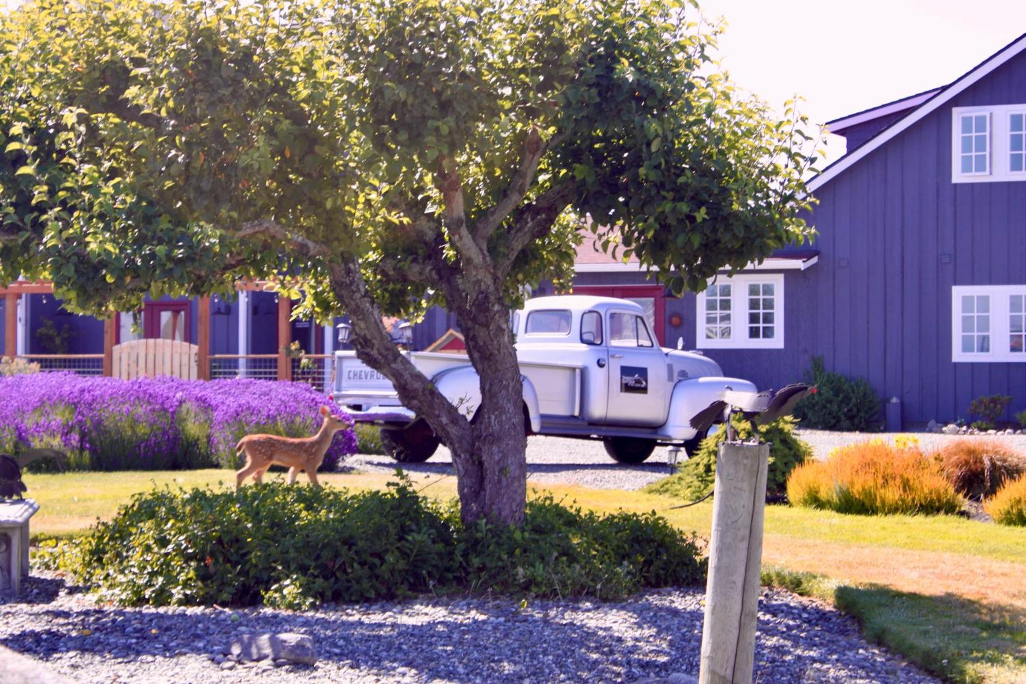 Dungeness Barn House Bed And Breakfast At Two Crows Farm Sequim Eksteriør billede