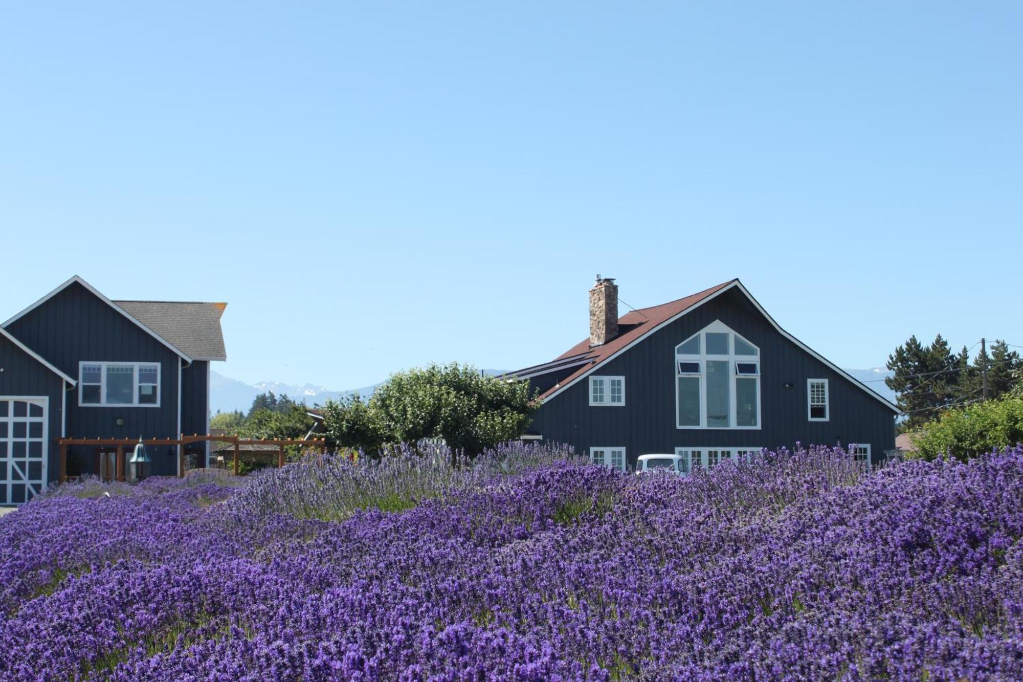 Dungeness Barn House Bed And Breakfast At Two Crows Farm Sequim Eksteriør billede